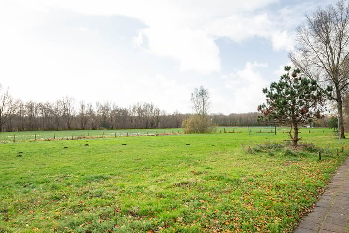 Foto 34 van Korhoenlaan 74