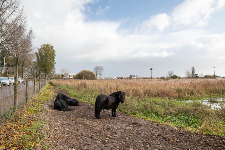 Foto 35 van Korhoenlaan 74