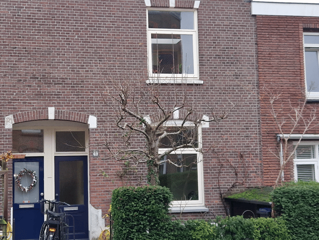 View photo 44 of Dommer van Poldersveldtweg 49