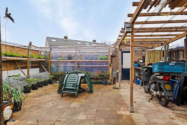 Foto 8 van Dierenriem 88