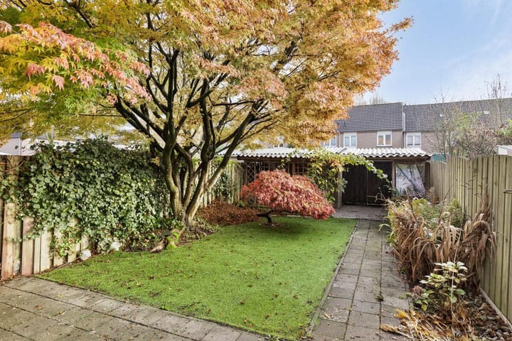 Foto 4 van Middelberg 34