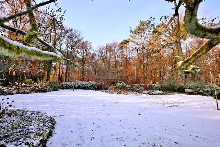 Bekijk foto 4 van Dortherdijk 27