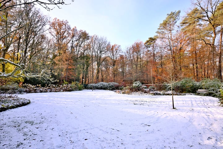 Bekijk foto 32 van Dortherdijk 27