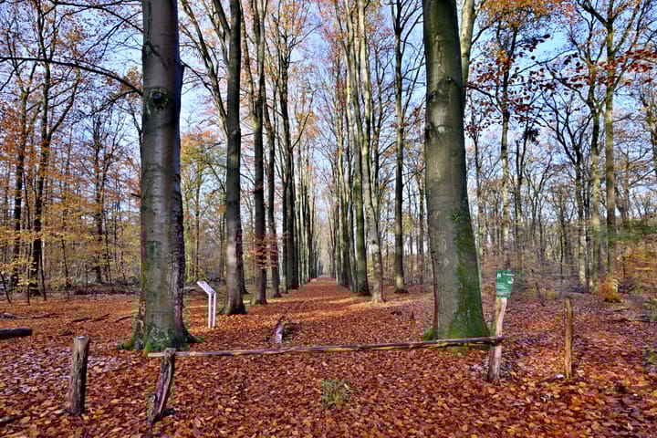 Foto 37 van Dortherdijk 27