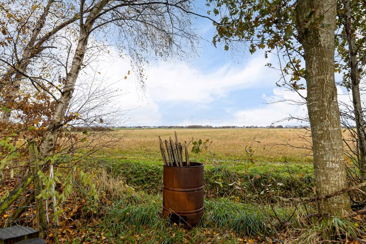 Bekijk foto 43 van Zuiderdiep 250