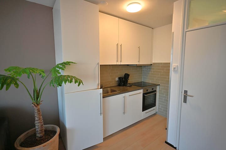 Foto 23 van Duinstraatje 27