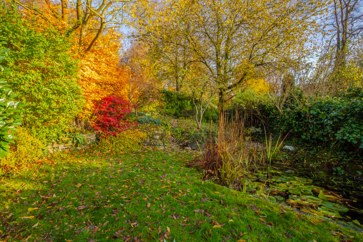 Foto 33 van Hommelseweg 500