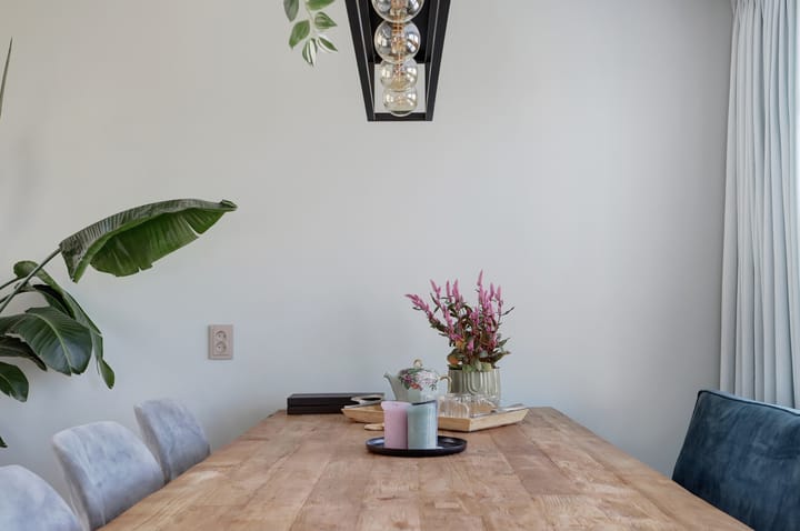 Foto 10 van Lingsesdijk 13-D