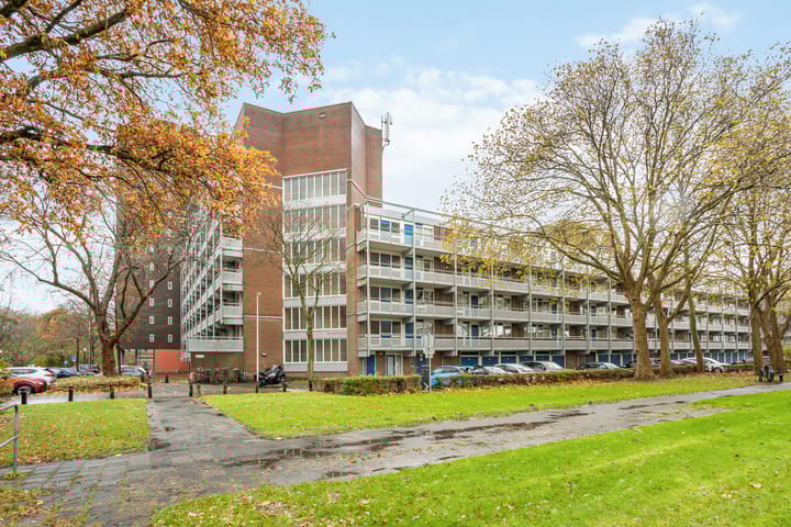 Foto 1 van Koolmeesstraat 50