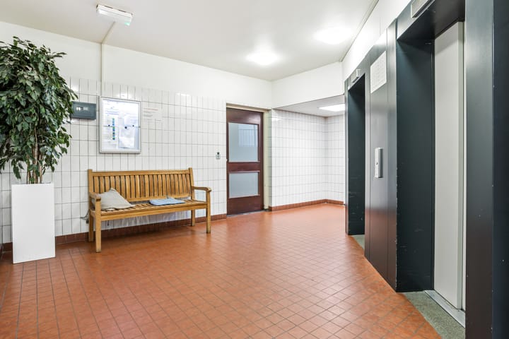 Foto 6 van Koolmeesstraat 50