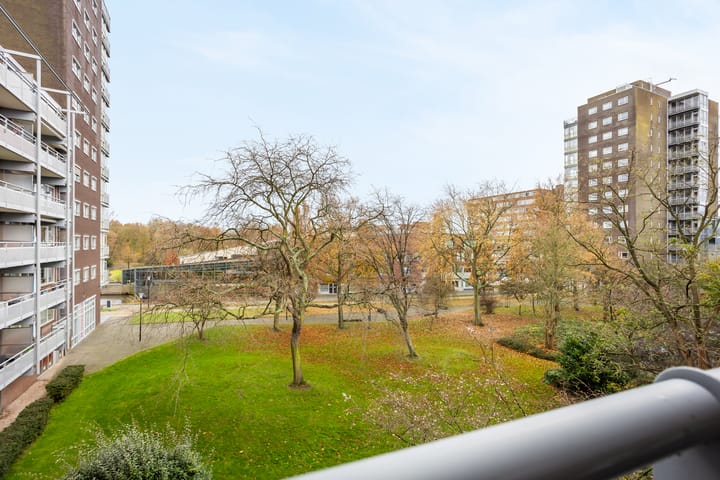 Foto 19 van Koolmeesstraat 50