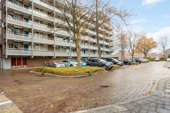 Foto 28 van Koolmeesstraat 50