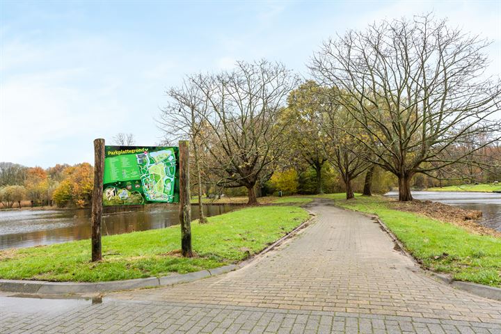 Bekijk foto 31 van Koolmeesstraat 50