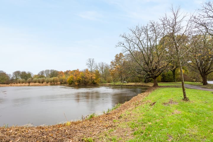 Foto 32 van Koolmeesstraat 50