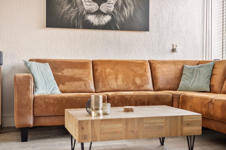 Foto 5 van Doornappel 11