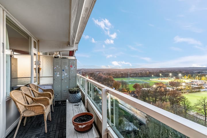 Photo 29 of Prins Willem-Alexanderpark 457