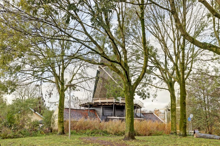 Foto 27 van Balistraat 60