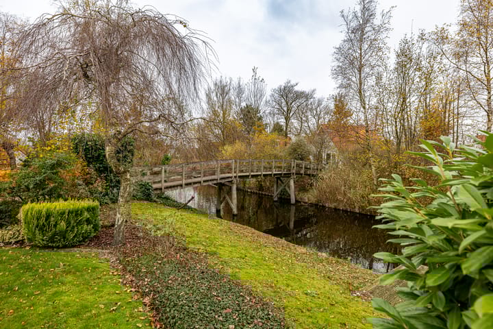 Photo 6 of De Rug 3-126