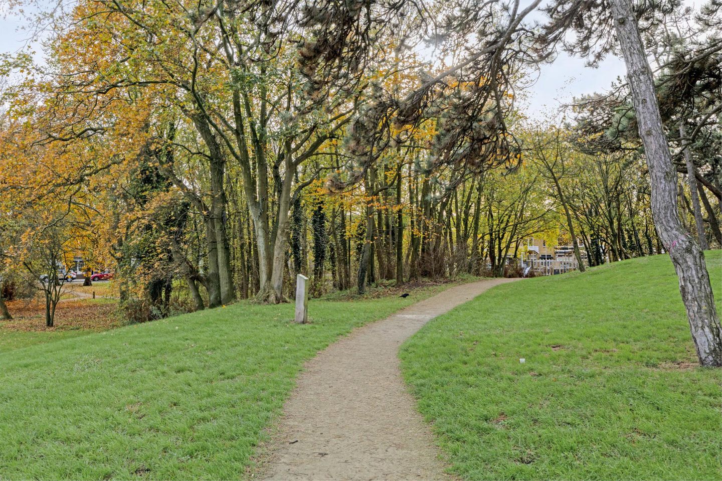 Foto 50 van Jan Pieterszoon Coenstraat 115