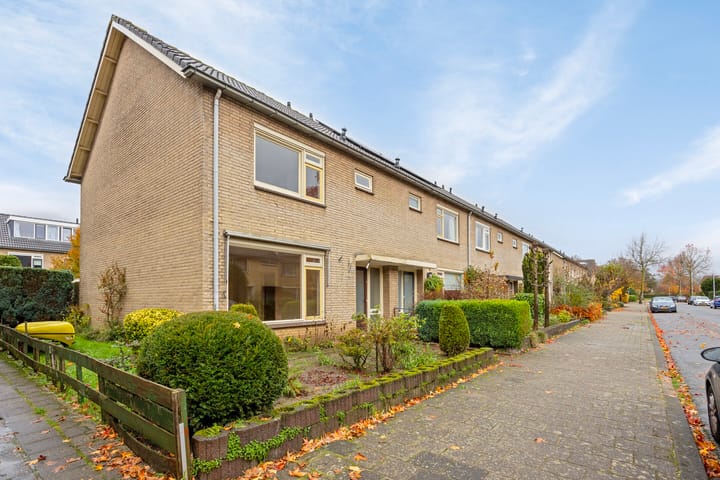 Foto 3 van Eisenhowerlaan 20