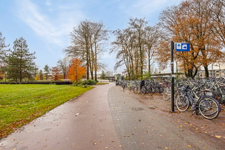 Foto 22 van Eisenhowerlaan 20