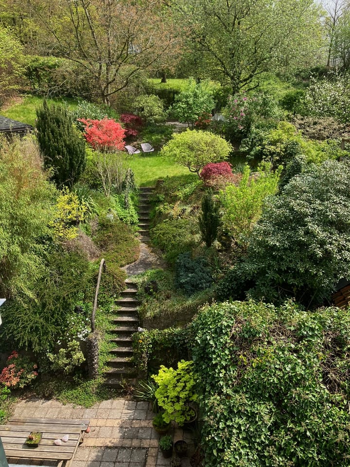 Foto 25 van Hommelseweg 500