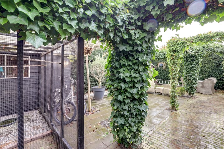 Foto 51 van Biezelingsestraat 84