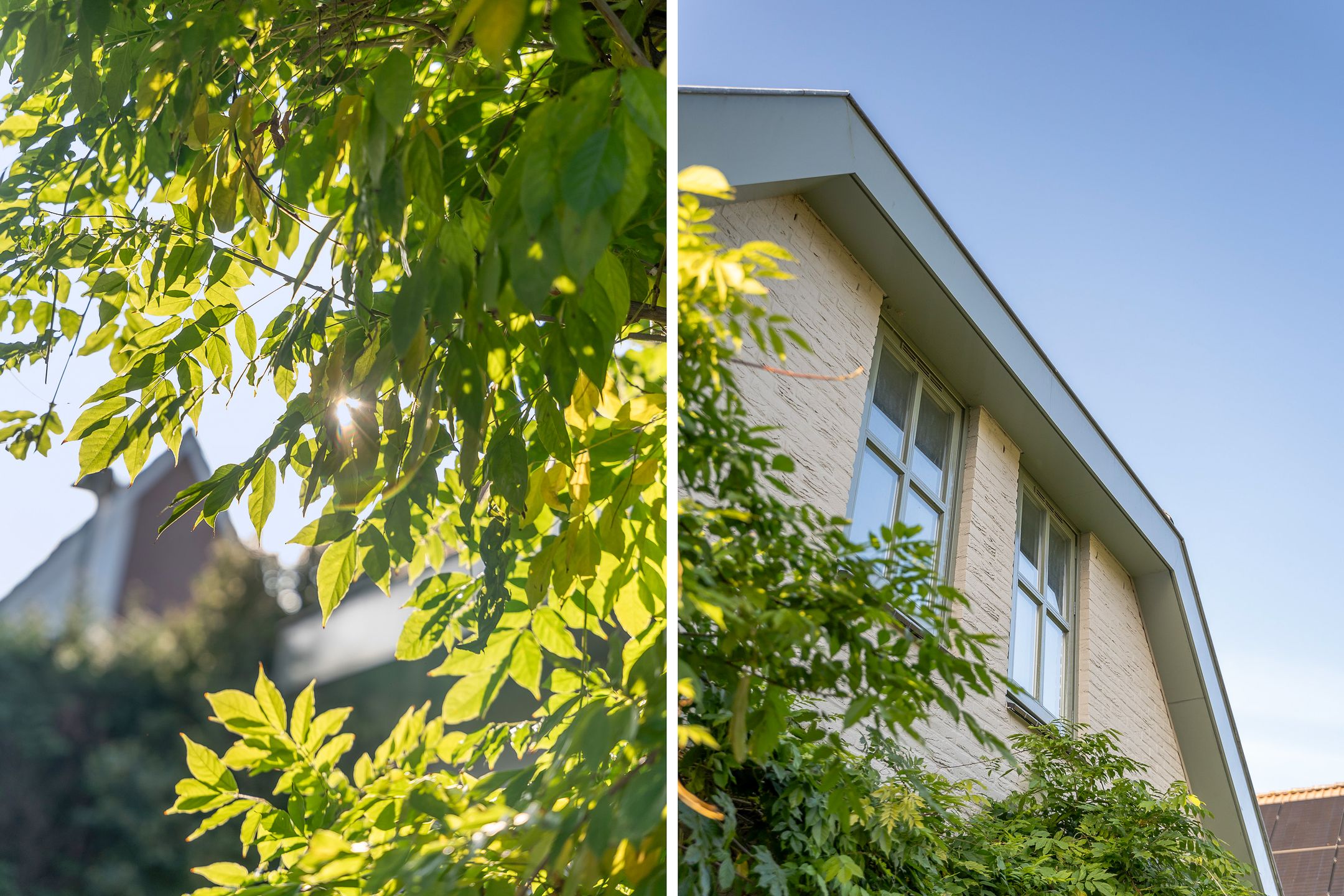 Foto 48 van Strausslaan 1