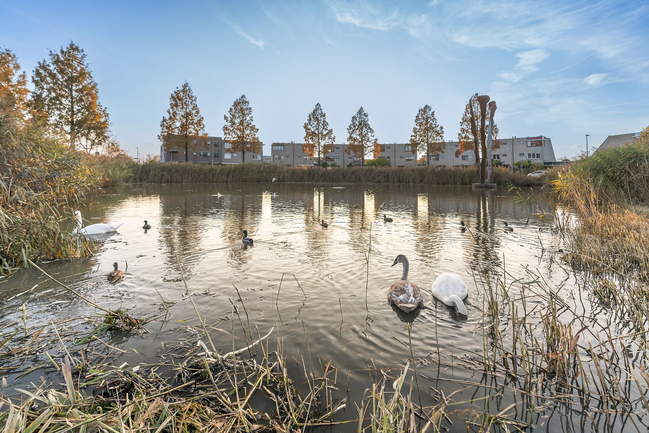 Foto 51 van Strausslaan 1