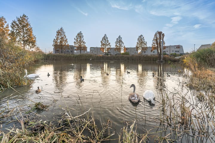 Foto 51 van Strausslaan 1