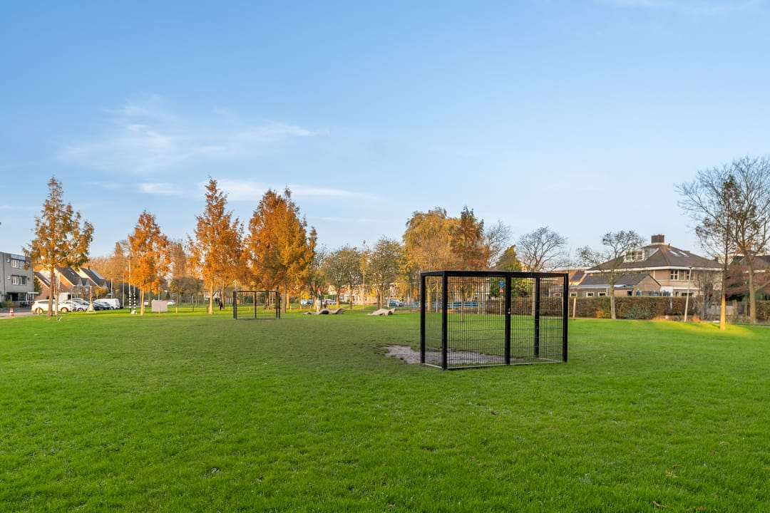 Foto 52 van Strausslaan 1