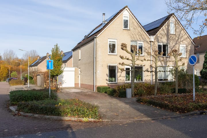 undefined main image