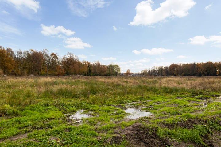 Bekijk foto 42 van Dorpsplein 10-D