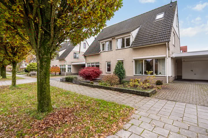 Foto 1 van Schering 75