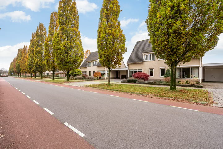 Foto 2 van Schering 75