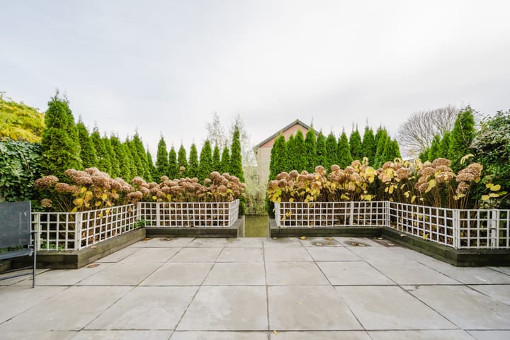 Foto 15 van Harriët Freezerstraat 102