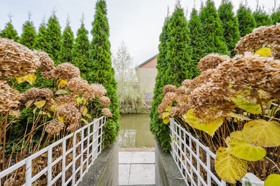 Foto 16 van Harriët Freezerstraat 102