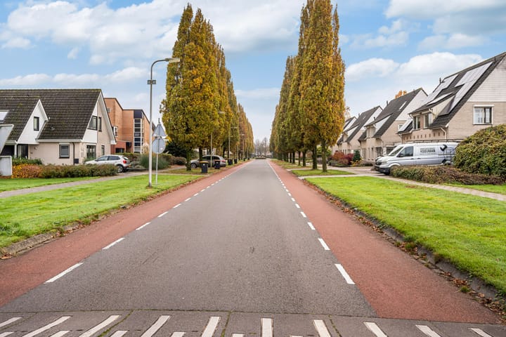 Foto 32 van Schering 75