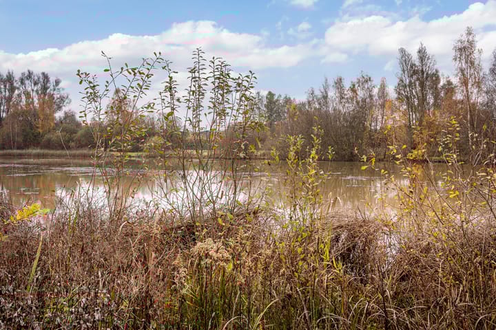 Foto 34 van Schering 75