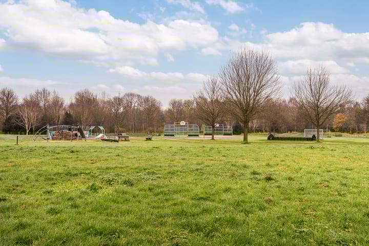 Foto 35 van Schering 75