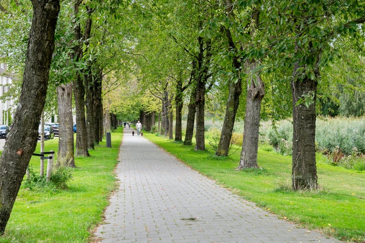 Bekijk foto 39 van Johanna van Duynstraat 8