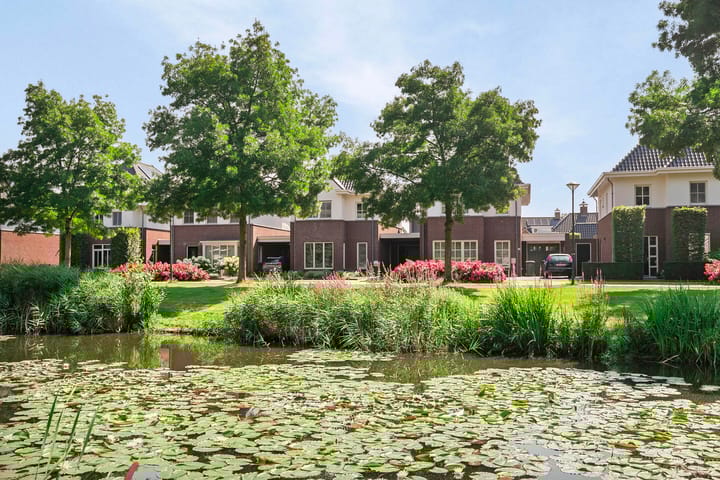 Foto 5 van Waterlelie 15