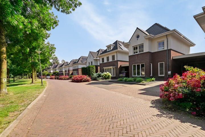 Foto 35 van Waterlelie 15