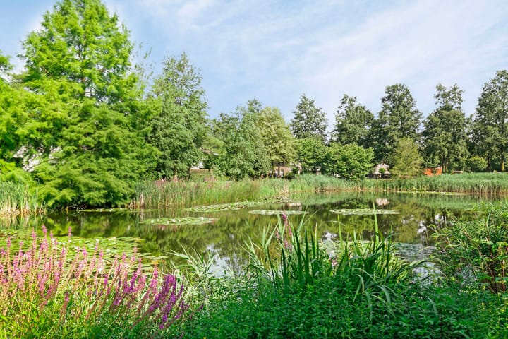 Foto 37 van Waterlelie 15