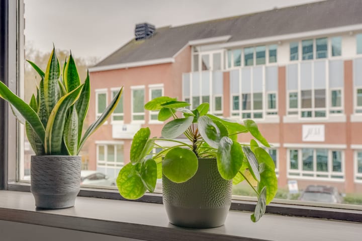 Foto 17 van Ruiterstede 10