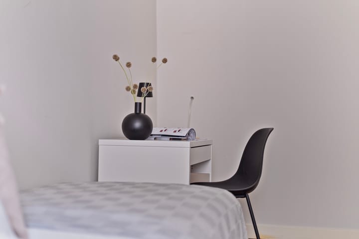 Foto 22 van Van Woustraat 107-2