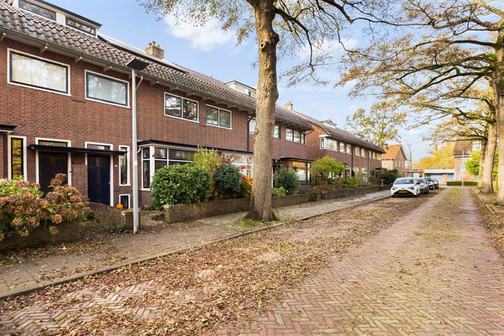 Bekijk foto 4 van Leeuwerikstraat 23