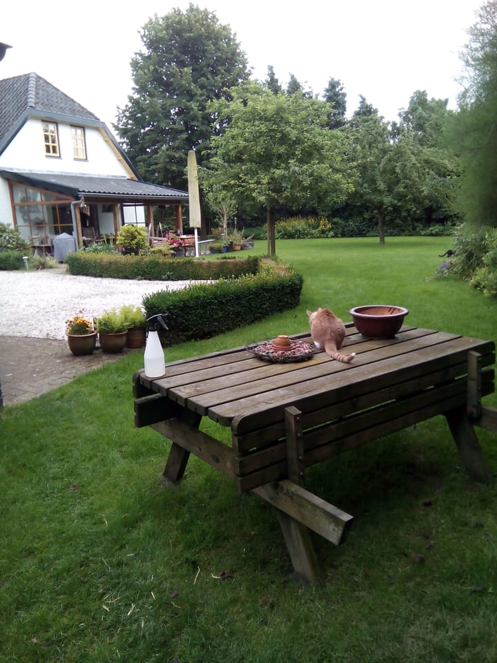 Foto 49 van Krugerstraat 6