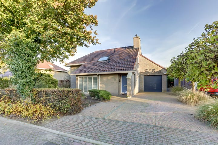 Foto 34 van Herfst 113