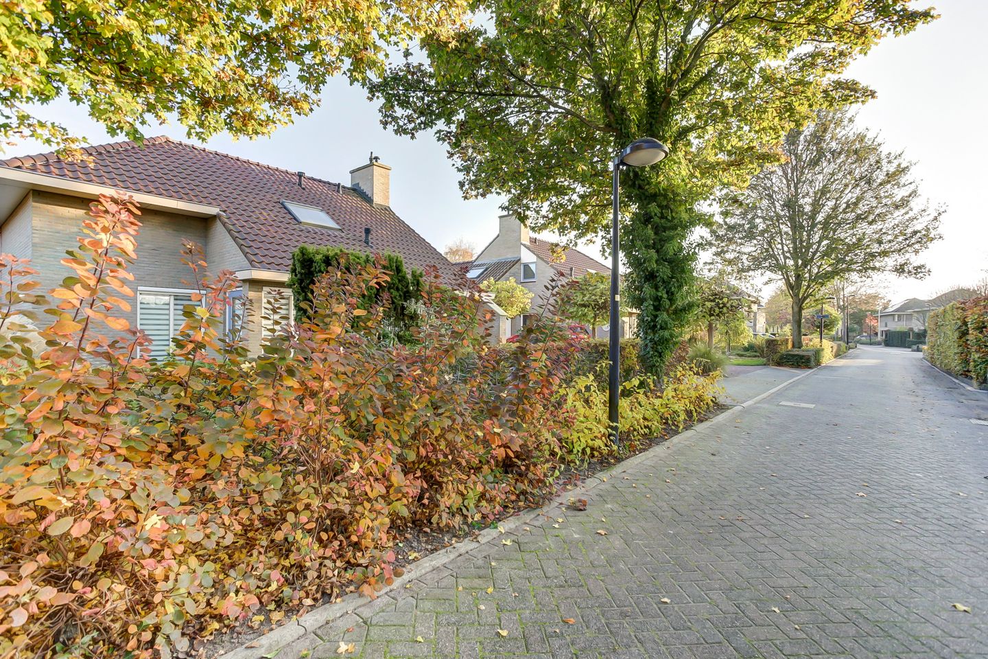 Foto 49 van Herfst 113